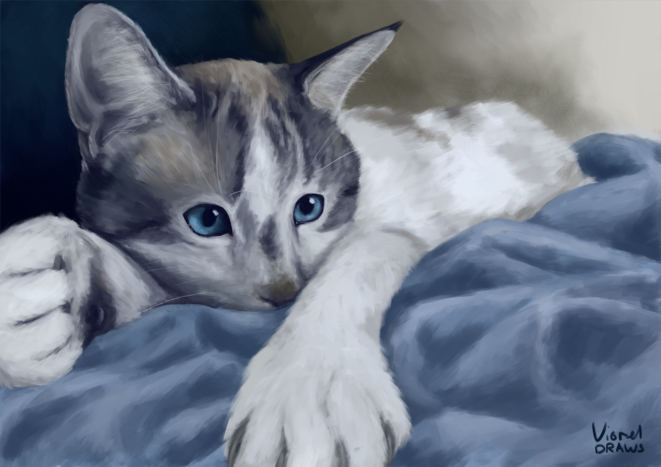 Kitters