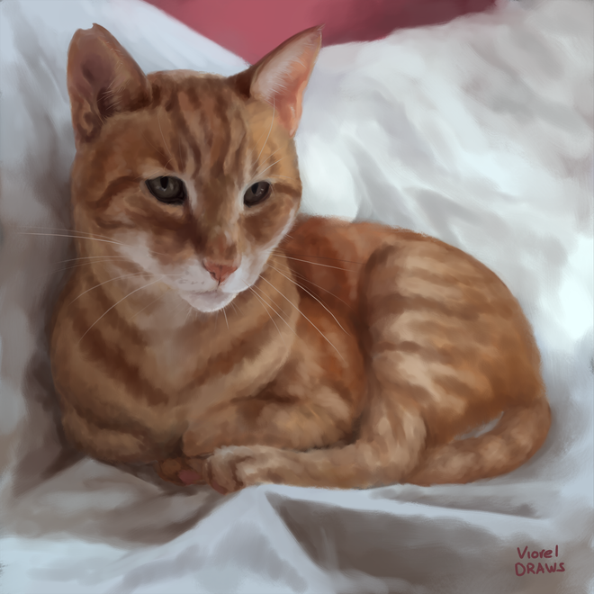Morris