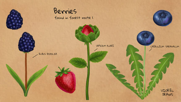 Forest Berries