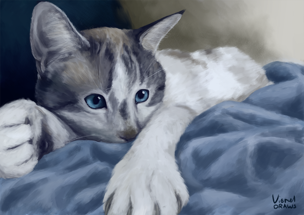 Kitters